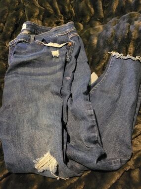 Lane Bryant Dark Blue Distressed Ankle Jeans